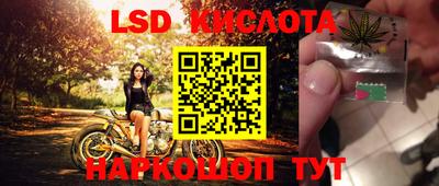 ГАЛЛЮЦИНОГЕННЫЕ ГРИБЫ Тара