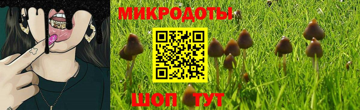 Псилоцибиновые грибы мухоморы  Вход с VPN  Шебекино 
